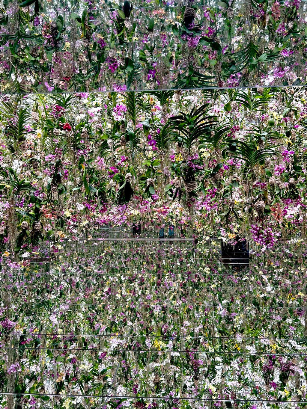 Got to Tokyo and became BRAVE and a&nbsp;WINNER